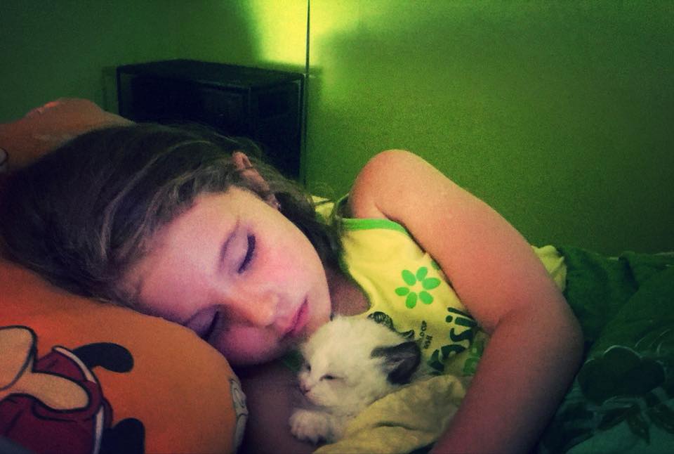 /images/Galeria/Cicák-gyerekek (Cats&Chirldren)/23231593_509975269370172_1655126647680727845_n.jpg